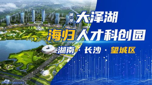 逐梦 一江两岸 ,望城区海归小镇新年强势登陆央视