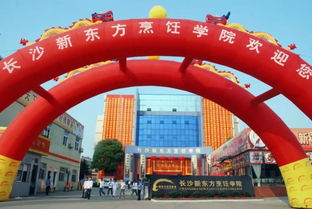 东方教育冲港股 每天砸百万广告费,教做菜修车年入28亿