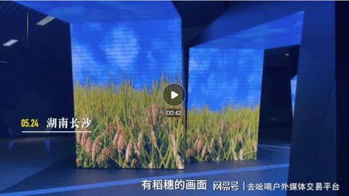 稻穗金黄的思念 长沙地铁里的袁隆平院士缅怀广告